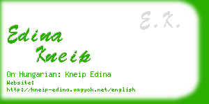 edina kneip business card